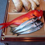 LAT.34°N by 蒼 - ☆地金目鯛＆鯖☆