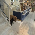 かき氷専門店 ウミナゴミ - 