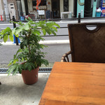 翠cafe - お外のテラス