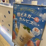発酵 CALPIS PARLOR - 