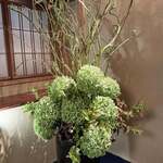 花蝶 - ダイナミックな生け花