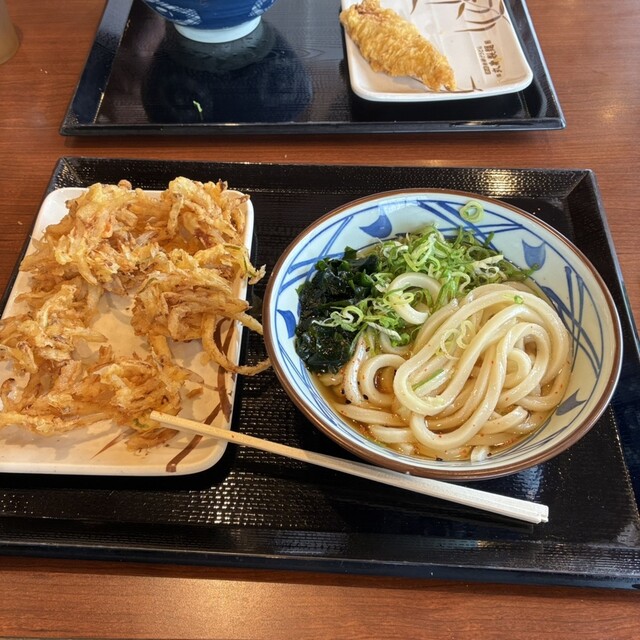 Marugame Seimen Aomori Ten
