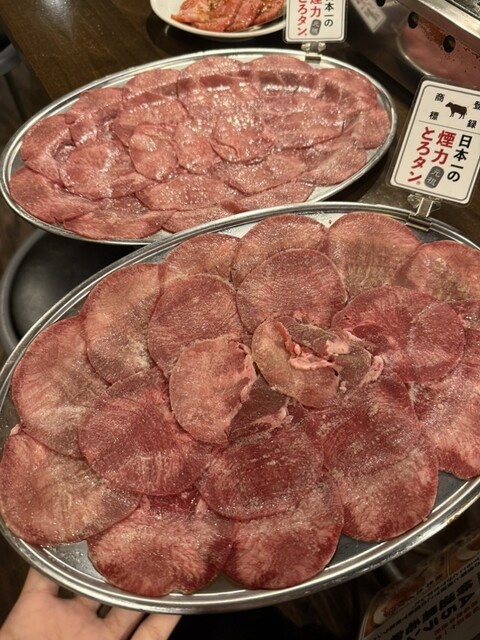 Taishu Horumon Yakiniku Kemuriki Naeki Yanagibashi Ten