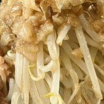 ラーメン専門 宮の森 - さらにアップ