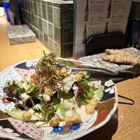 始祖鳥 - 