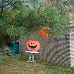 北菓楼 砂川本店 - ハロウィン