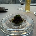 XEX TOKYO / Salvatore Cuomo Bros. - 