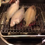 きらく亭 - 若狭カレイの炭焼き