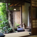 京都生ショコラ オーガニックティーハウス - 