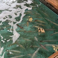 河太郎 中洲本店 - 