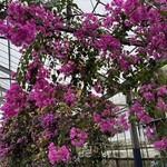 ユートピアファーム宮古島 - 