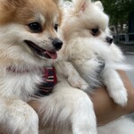 ベーカリー&レストラン沢村 - 