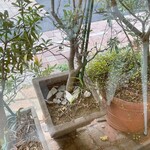 ヘンテコ 森の洋菓子店 - 