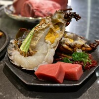 鉄板焼 雅 銀座 - 