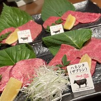 松阪牛炭火焼肉 東海亭 - 