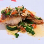 クラヤ カトウ - 