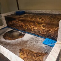かに道楽 銀座八丁目店 - 