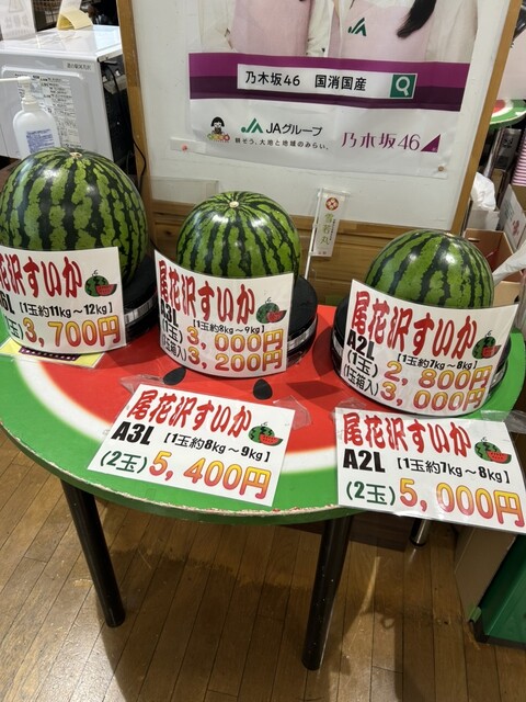 道の駅 尾花沢 花笠の里 ねまる - 芦沢（道の駅）の写真