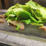 サラダ菜の下にもフグとヒラマサがいるのよ～