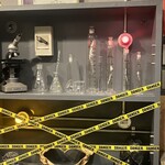 煮干しラーメン キングニボラ - ニボラの幼体