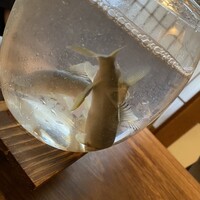 春鶯亭ひら - 