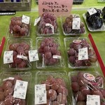 なかうみ菜彩館 - 
