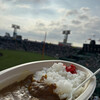 甲子園カレー
