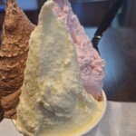 ジェラテリア PICCO - 