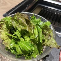 完全個室焼肉 GYU CHIBA - 