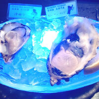 MAIMON GINZA - 国産生牡蠣2種