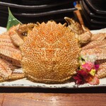 薄野 肉海鮮炉端 芯々 - 