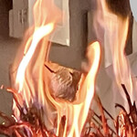 本格板前居酒屋 お魚総本家 アスティ静岡店 - 