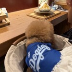 ドッグルハウス - 2人用カウンター席は犬カートも貸してくれて、広々使えます