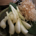 てぃんさぐぬ花 - 島らっきょ