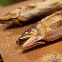 たでの葉 - ①熊本 川辺川産 皮目に纏わせたえんみに引き立つ堂々とした身の旨味。淡白な川魚の個性の味に滲み出し、肝のエグみが旨さを彩り、どの部位も余すことなく満ちた味わいに集中させる。