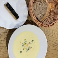 Loiseau de France - 