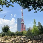 タイごはん 泉州屋台 - 