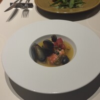 CODA ROSSA - 