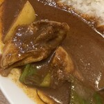 Spice Curry カリカリ - ツインカレーのスリランカ風　アップ