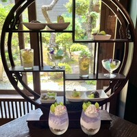 The 華紋 - 