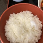 松の樹 - ライス