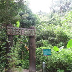 Shangri-La's Rasa Ria Resort - Forestがあります