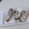 BAY OYSTER