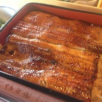 鰻割烹 伊豆栄 本店 - うな重(竹)_伊豆栄本店_2014.10.11