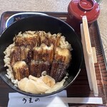 あなごめしうえの 宮島口本店 - あなご飯 小