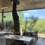 バードツリー - 店内に突き抜けてる！　素敵やん。　ここで働きたい！