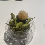 ラ・ヴァガボンド - 