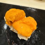 札幌 鮨 よこ田 - 