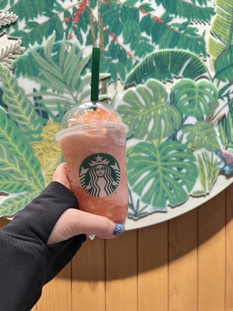 Starbucks Coffee Nagoya Noritake Shinmachi Ikkai Ten