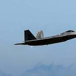 れすとらん比内どり - 